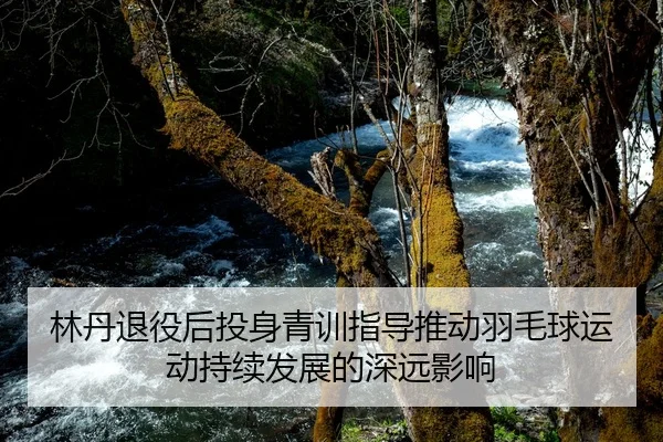 林丹退役后投身青训指导推动羽毛球运动持续发展的深远影响